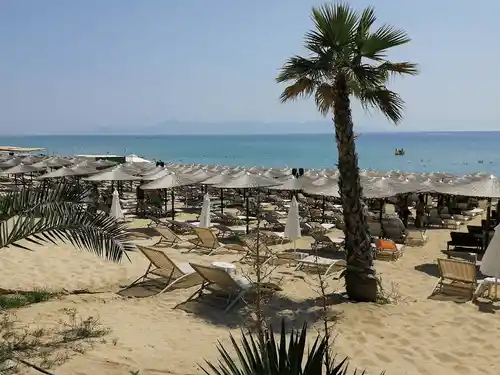 ammolofoi beach palm tree and beach