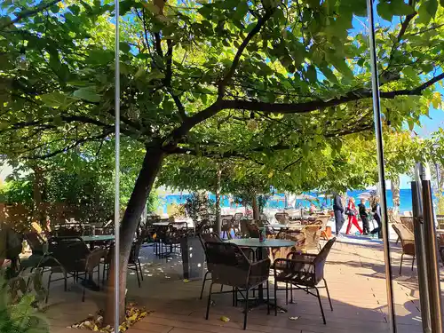 nea iraklitsa tree chairs