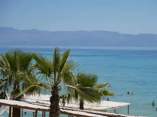 ammolofoi beach view palm tree