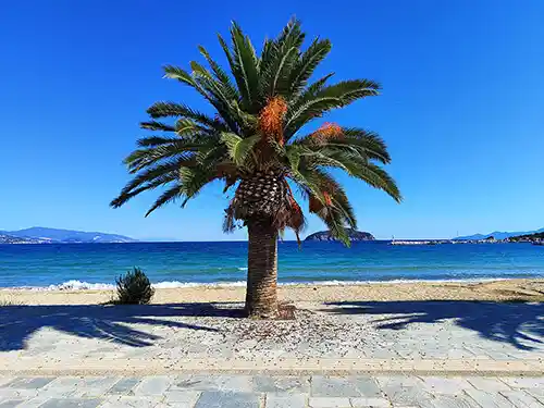 nea iraklitsa