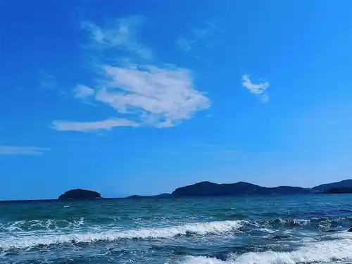 palio wind waves