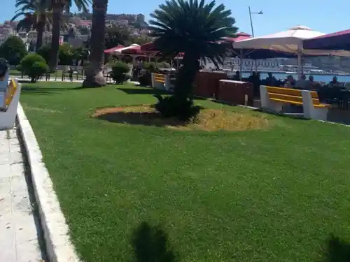 nea iraklitsa palm trees